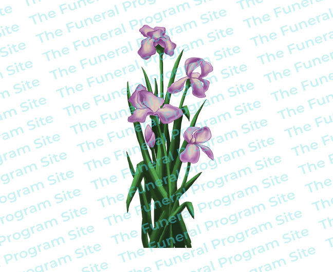 iris flower designs